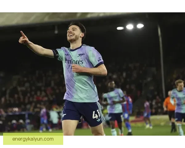 英超水晶宫塞尔赫斯特公园