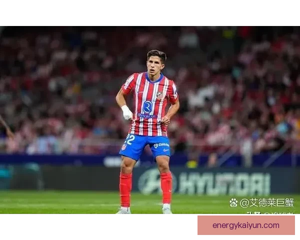 赫塔菲近期比赛节奏保持稳定，球队战术执行力值得关注